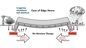 Case-of-Edge-Heave-Baleh-Consulting