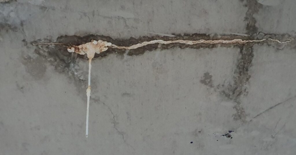 calthemite Stalactites - Baleh Consulting