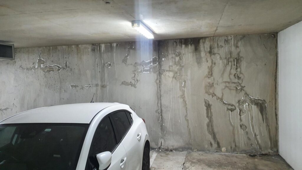 efflorescence - Baleh Consulting