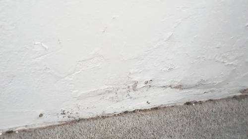 Moisture Ingress - Baleh Consulting