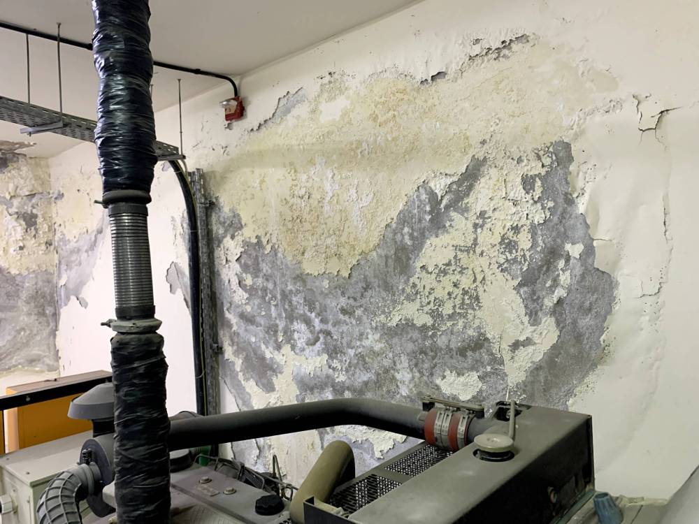 Moisture Ingress - Baleh Consulting